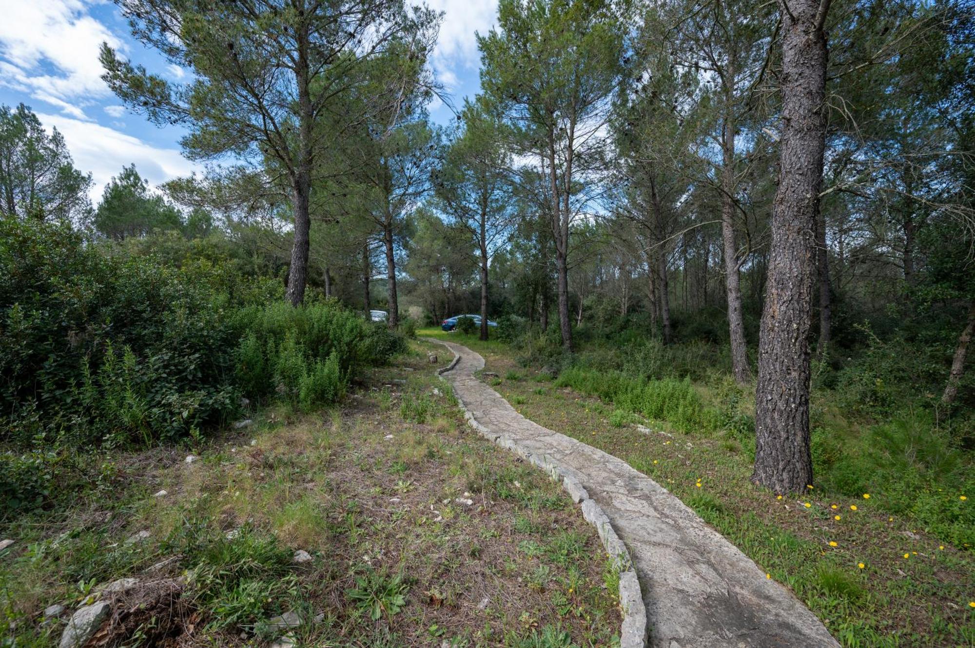 Secluded Fisherman'S Cottage Cove Jaz - Telascica, Dugi Otok - 8143 Sali Eksteriør billede